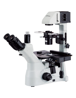 AmScope IN480 Series Inverted Infinity-Corrected Phase-Contrast Trinocular Compound Microscope 40X-600X Magnification with Kohler Illumination