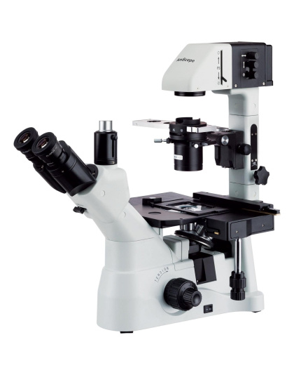 AmScope IN480 Series Inverted Infinity-Corrected Phase-Contrast Trinocular Compound Microscope 40X-600X Magnification with Kohler Illumination