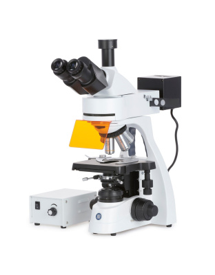 Euromex bScope Series Trinocular Compound Microscope 40X-1000X Magnification with Epi-Fluorescence (Blue, Green, Violet, and Ultra-violet)