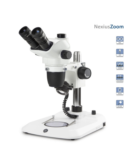 Euromex NexiusZoom Series High-Precision Zoom Trinocular Stereo Microscope on Pillar Stand