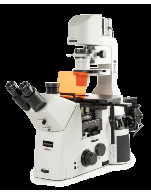AI.3053-PLPHFi - Achios-X Inverso Bnocular inverted microscope with WF10x/22 mm eyepieces and Plan