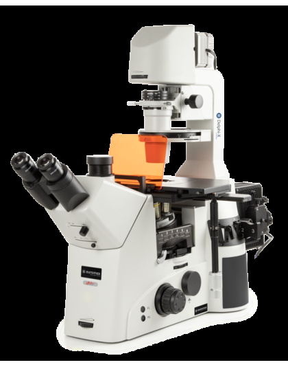AI.3053-PLPHFi - Achios-X Inverso Bnocular inverted microscope with WF10x/22 mm eyepieces and Plan