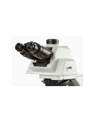 DX.7920-T - Infinity EIS 60 mm Plan SAPOLi 20x/0.40 objective. M25 thread. Working distance 12 mm.