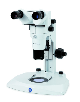 DZ.1105 - DZ stereo zoom 1:10 microscope with 20° fixed binocular head with EWF 10x/22 eyepieces,